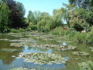 Giverny,Teich